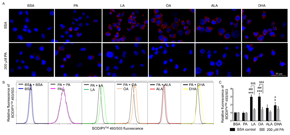 biomedres-openaccess-journal-bjstr