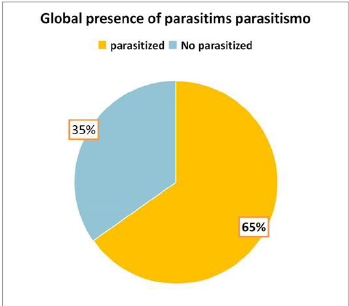 biomedres-openaccess-journal-bjstr