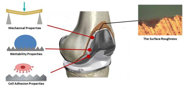 biomedres-openaccess-journal-bjstr