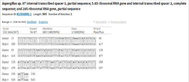 biomedres-openaccess-journal-bjstr