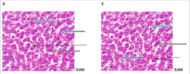 biomedres-openaccess-journal-bjstr