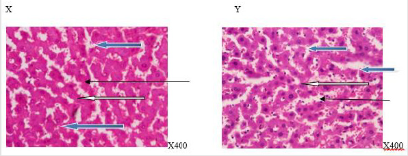 biomedres-openaccess-journal-bjstr