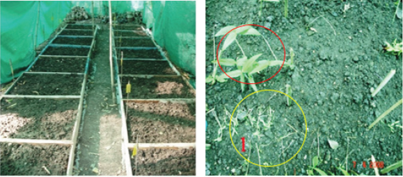 biomedres-openaccess-journal-bjstr