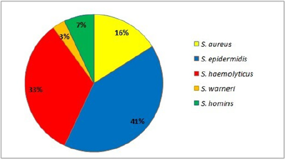 biomedres-openaccess-journal-bjstr