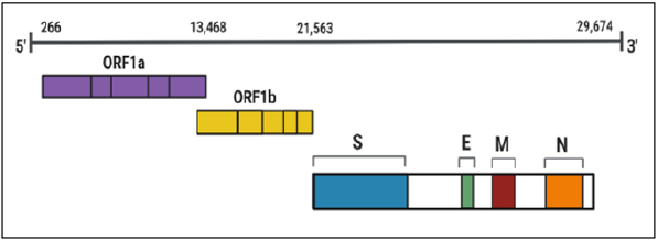 biomedres-openaccess-journal-bjstr