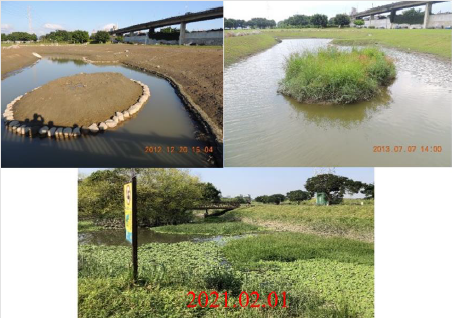 biomedres-openaccess-journal-bjstr