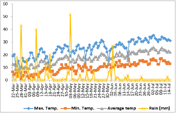 biomedres-openaccess-journal-bjstr