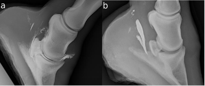 biomedres-openaccess-journal-bjstr