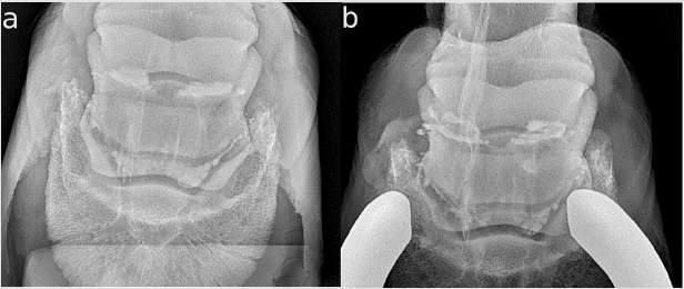 biomedres-openaccess-journal-bjstr