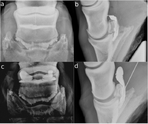 biomedres-openaccess-journal-bjstr