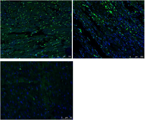 biomedres-openaccess-journal-bjstr