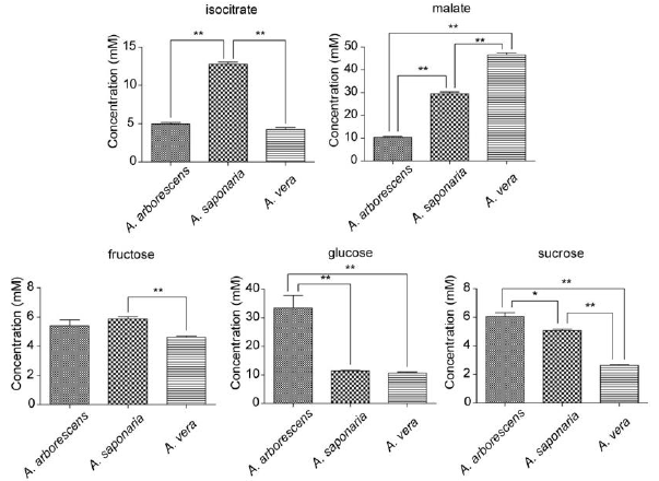 biomedres-openaccess-journal-bjstr
