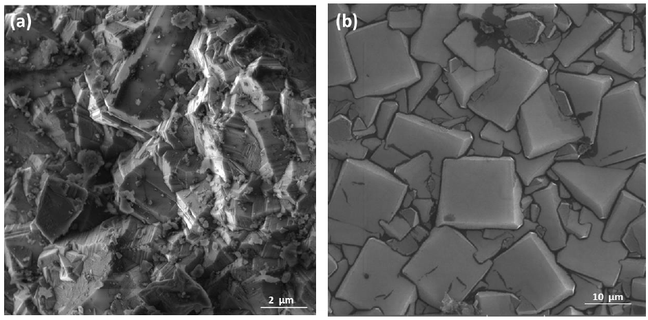 biomedres-openaccess-journal-bjstr