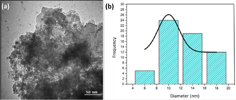 biomedres-openaccess-journal-bjstr