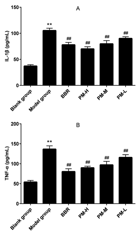 biomedres-openaccess-journal-bjstr