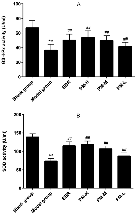 biomedres-openaccess-journal-bjstr