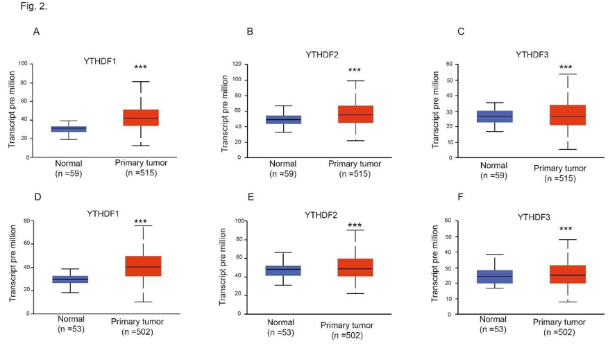 Click here to view Large Figure 2 biomedres-openaccess-journal-bjstr