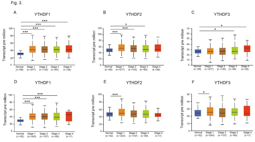 Click here to view Large Figure 3 biomedres-openaccess-journal-bjstr