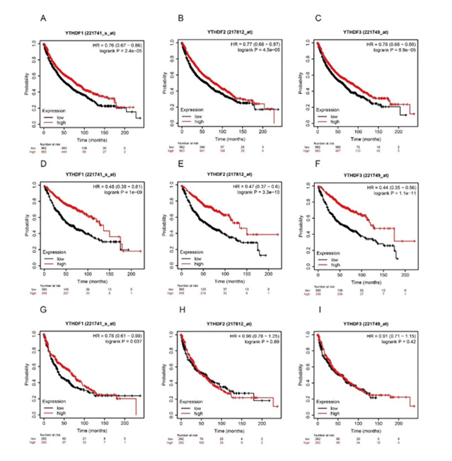Click here to view Large Figure 4 biomedres-openaccess-journal-bjstr