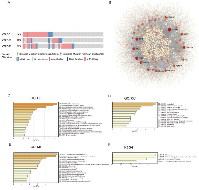 Click here to view Large Figure 5 biomedres-openaccess-journal-bjstr