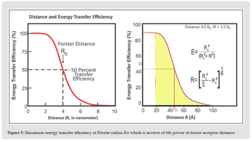 Click here to view Large Figure 5 biomedres-openaccess-journal-bjstr