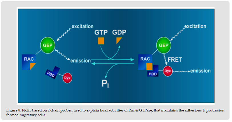 Click here to view Large Figure 8 biomedres-openaccess-journal-bjstr