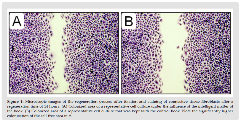 Click here to view Large Figure 1 biomedres-openaccess-journal-bjstr