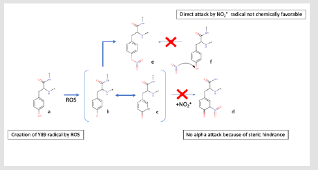 Click here to view Large Figure 3 biomedres-openaccess-journal-bjstr