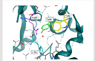 Click here to view Large Figure 4 biomedres-openaccess-journal-bjstr