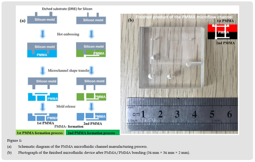 Click here to view Large Figure 1 biomedres-openaccess-journal-bjstr