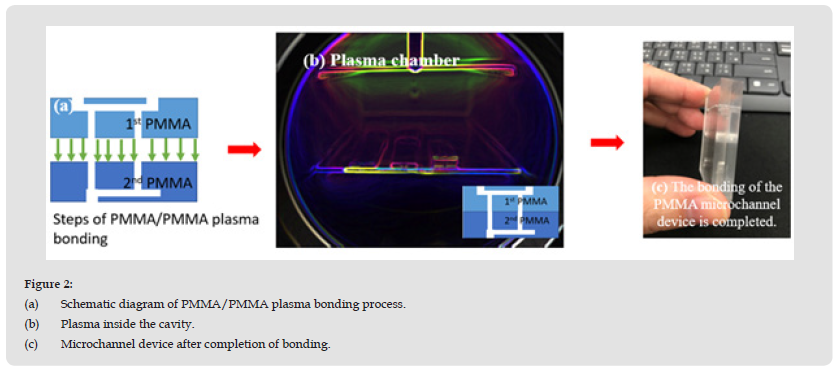 Click here to view Large Figure 2 biomedres-openaccess-journal-bjstr