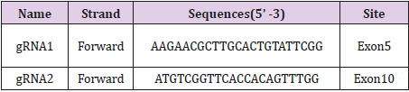 biomedres-openaccess-journal-bjstr