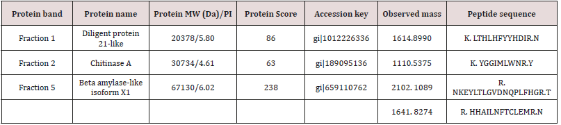 biomedres-openaccess-journal-bjstr
