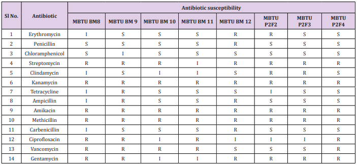 biomedres-openaccess-journal-bjstr