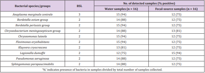 biomedres-openaccess-journal-bjstr