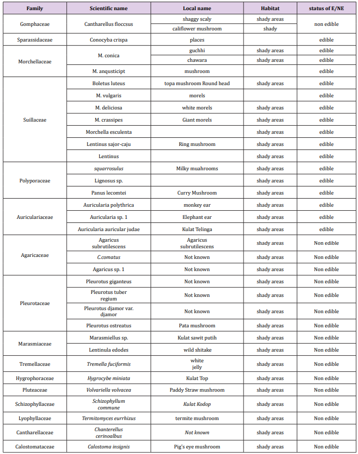 biomedres-openaccess-journal-bjstr