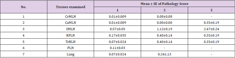 biomedres-openaccess-journal-bjstr