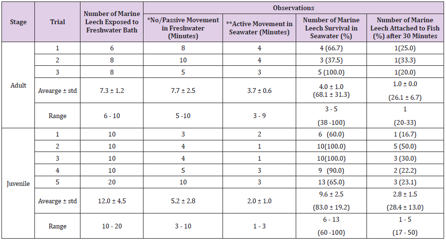 biomedres-openaccess-journal-bjstr