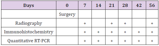 biomedres-openaccess-journal-bjstr