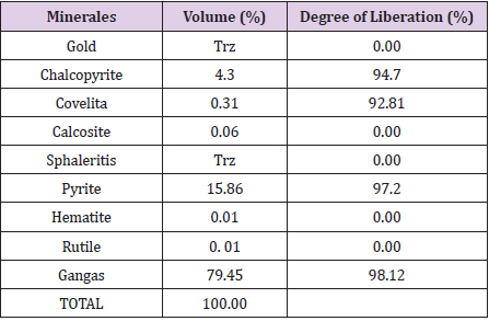 biomedres-openaccess-journal-bjstr