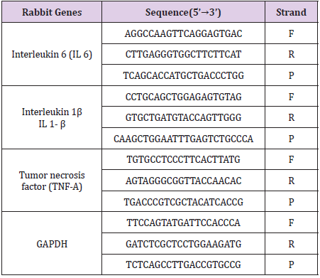biomedres-openaccess-journal-bjstr