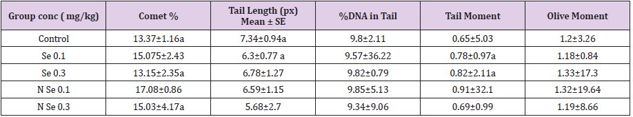 biomedres-openaccess-journal-bjstr