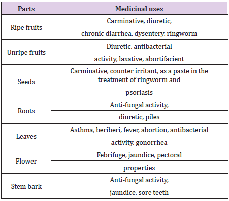 biomedres-openaccess-journal-bjstr