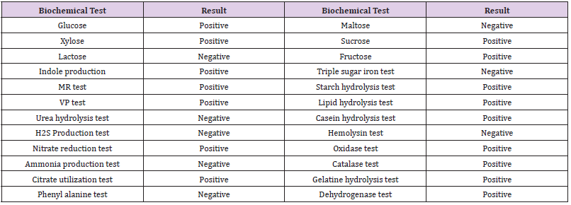 biomedres-openaccess-journal-bjstr