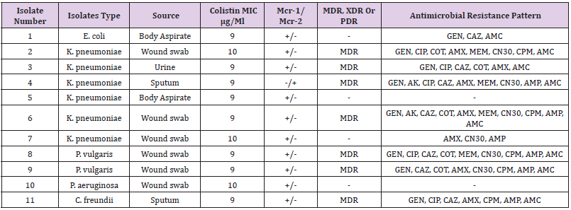 biomedres-openaccess-journal-bjstr