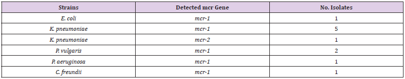 biomedres-openaccess-journal-bjstr