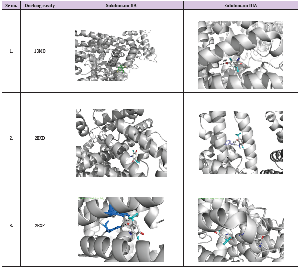 biomedres-openaccess-journal-bjstr