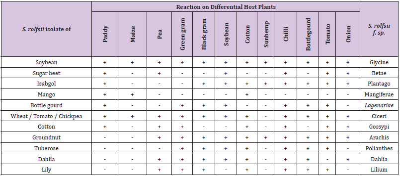 biomedres-openaccess-journal-bjstr