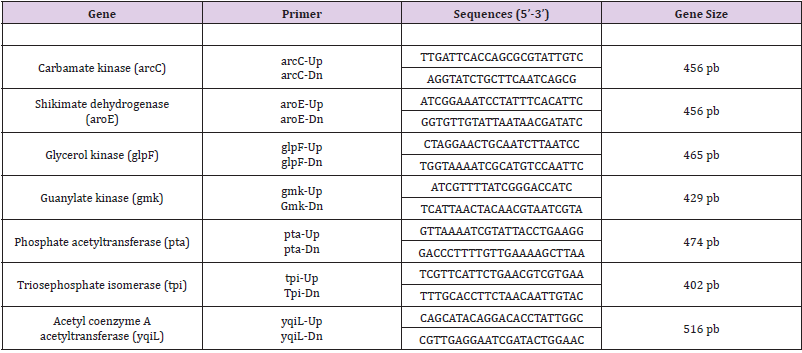biomedres-openaccess-journal-bjstr