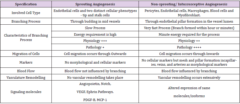 biomedres-openaccess-journal-bjstr